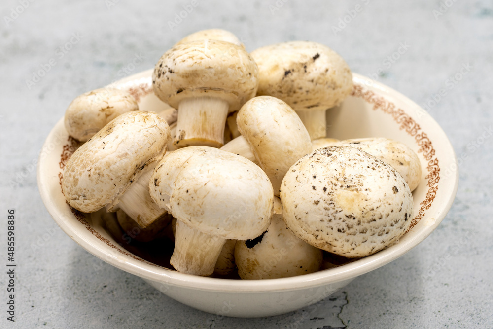 Mushrooms in a ceramic plate on a stone floor. Cultivated mushroom or portabello mushroom Mushrooms in a ceramic plate on a stone floor. Cultivated mushroom or portabello mushroom