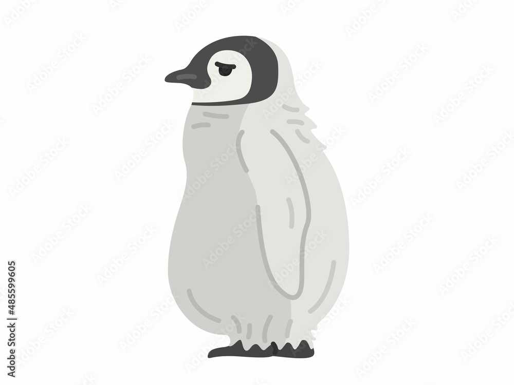 Fototapeta premium コウテイペンギンの赤ちゃんのイラスト