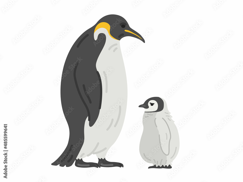 Obraz premium コウテイペンギンの親子のイラスト