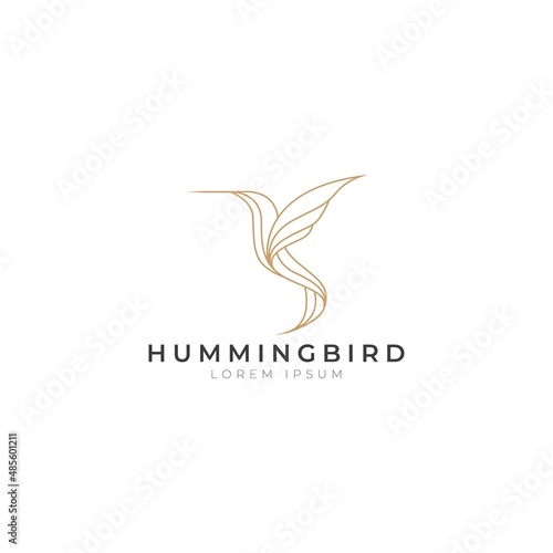 Hummingbird icon logo vector with modern luxury line gold color concept. Abstract humming bird with simple elegant style design vector.