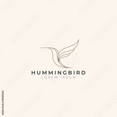 Hummingbird icon logo vector with modern luxury line gold color concept. Abstract humming bird with simple elegant style design vector.