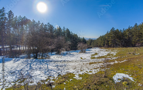 Spring in the mountain