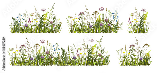 Photo Spring or summer colorful floral set with meadow wild herbs and flowers