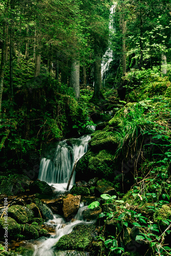 Waterfall in a mystical forest