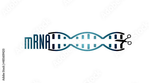 mrna scissors rna scalpel on a helix strang dna strands icon
