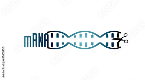 mrna scissors rna scalpel on a helix strang dna strands icon photo