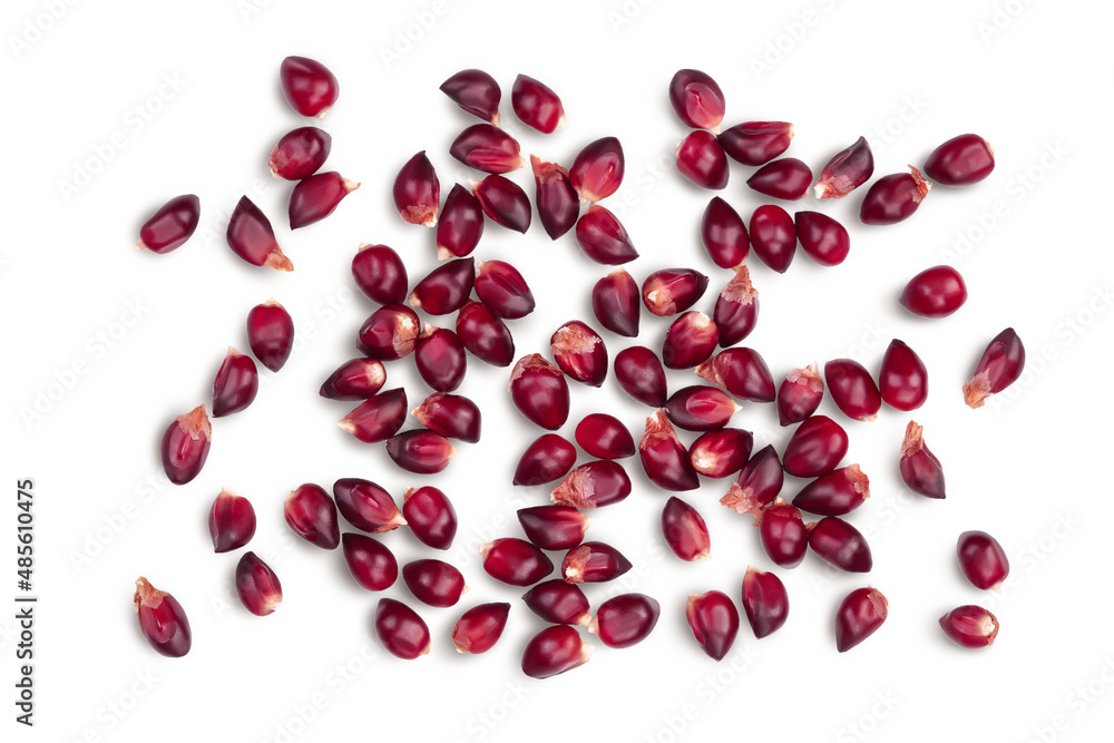 Purple corn or maize seeds isolated on white background with clipping path and full depth of field. Top view. Flat lay Purple corn or maize seeds isolated on white background with clipping path and full depth of field. Top view. Flat lay