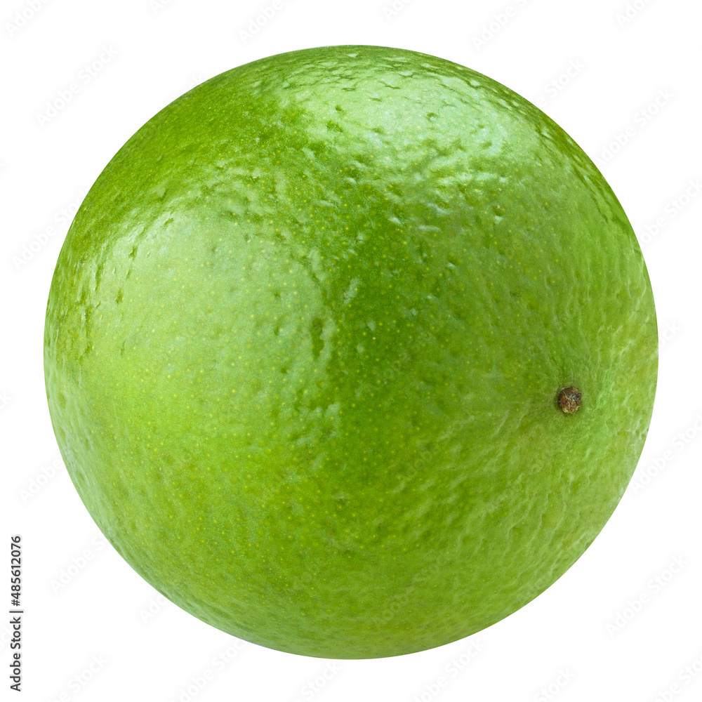 Single ripe lime, isolated on white background Single ripe lime, isolated on white background