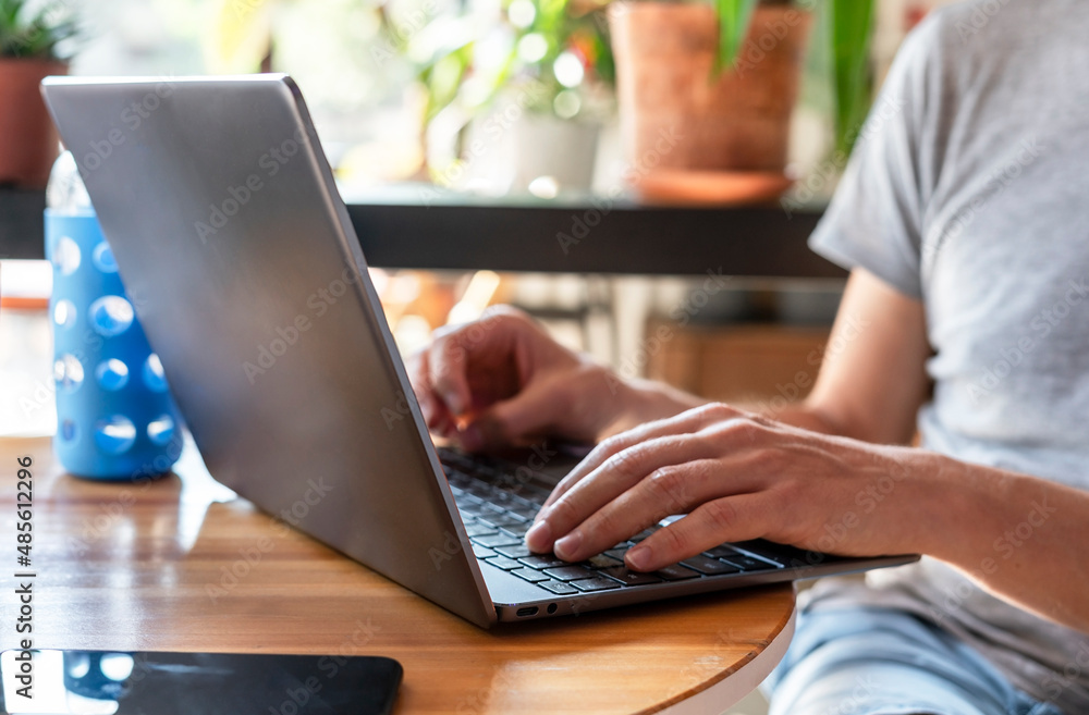 man working at laptop against the background of window and home flowers, freelance typing hands on keyboard notebook computer faceless man working at laptop against the background of window and home flowers, freelance typing hands on keyboard notebook computer faceless