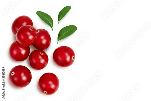 Cranberry with leaves isolated on white background with clipping path and full depth of field. Top view with copy space for your text. Flat lay