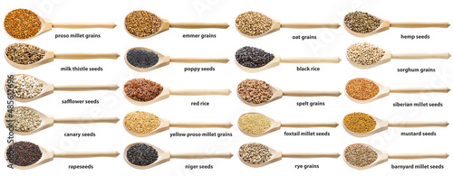 set of seeds and grains with names in wood spoons