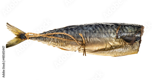 hot-smoked headless mackerel with rope isolated