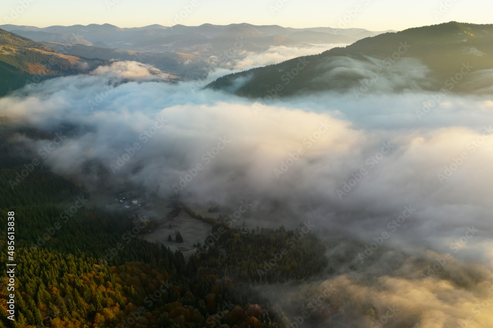 Beautiful landscape with thick mist and forest in mountains. Drone photography