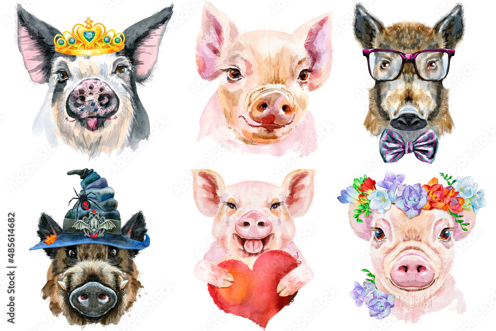 Fototapeta premium Set of pig portraits. Animal watercolor illustration on white background