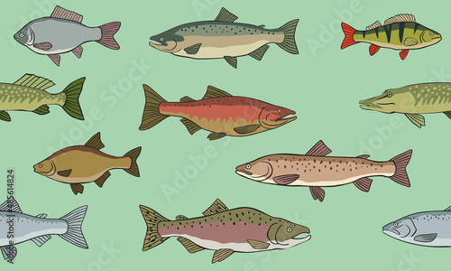 Seamless pattern various fish. Different types of fish. Vector color graphics