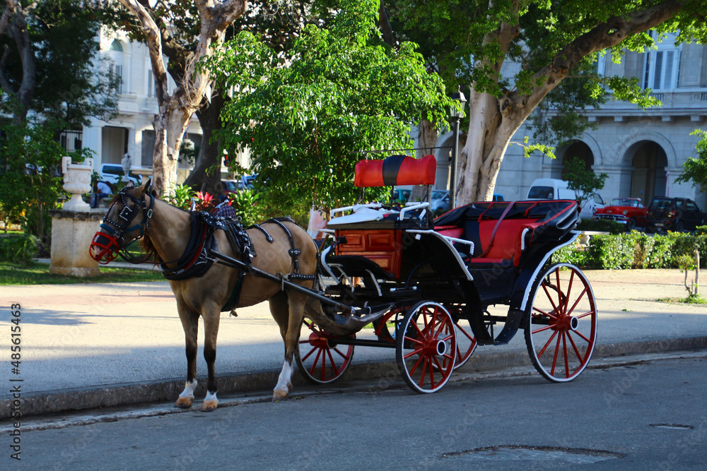 Horse carriage for tourists on the streets of Havana, Cuba  