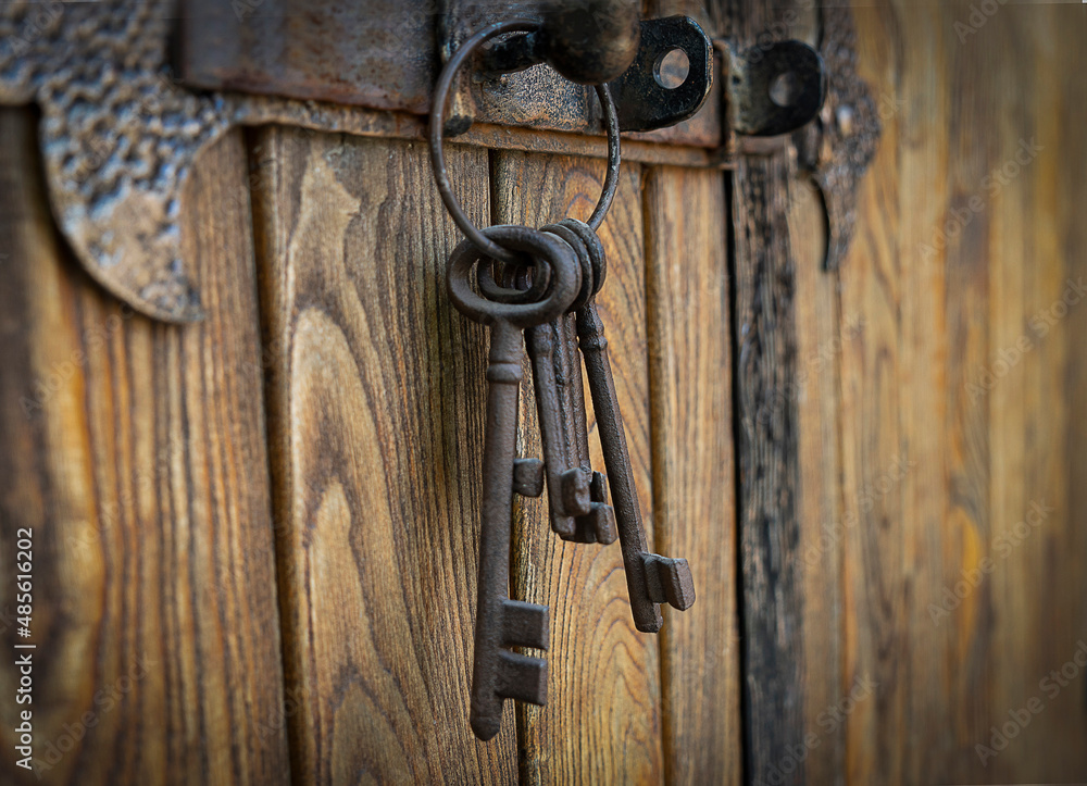 A bunch of old iron keys hanging on a deadbolt on a wooden door