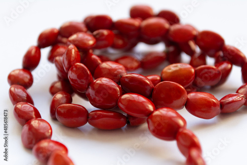 red seeds necklace on white background