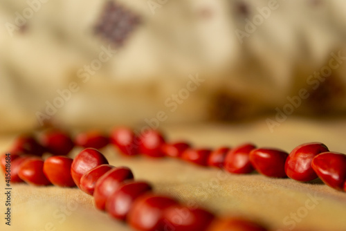 Red seeds necklace on a cotton blacground