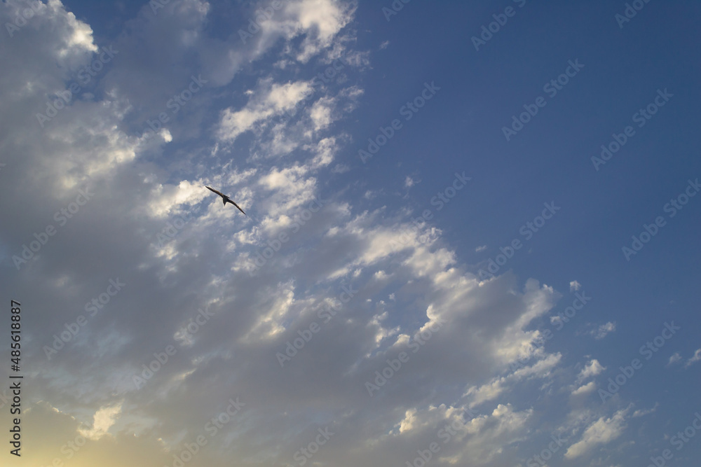 Sky Sky