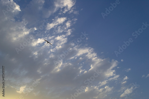 Sky