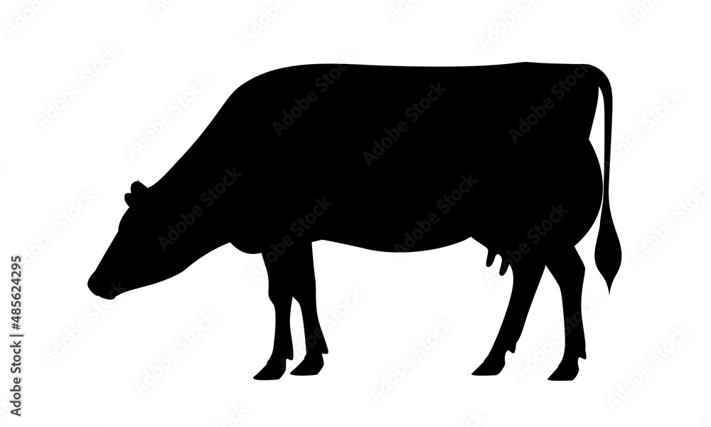 Cow Jersey Silhouette - The Best Milk Cattle Breeds. Farm animals. Vector Illustration. Cow Jersey Silhouette - The Best Milk Cattle Breeds. Farm animals. Vector Illustration.