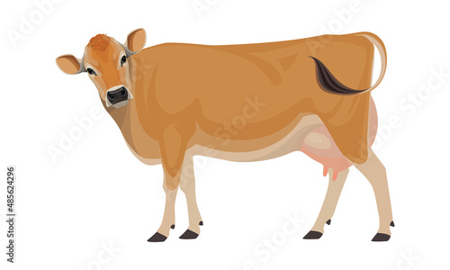 Cow Jersey - The Best Milk Cattle Breeds. Farm animals. Vector Illustration.
