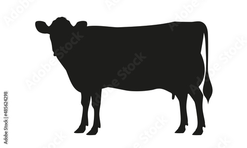 Cow Jersey Silhouette - The Best Milk Cattle Breeds. Farm animals. Vector Illustration.