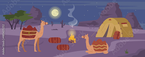 Bedouin camp in desert for tourists nighttime scenery, flat vector illustration.
