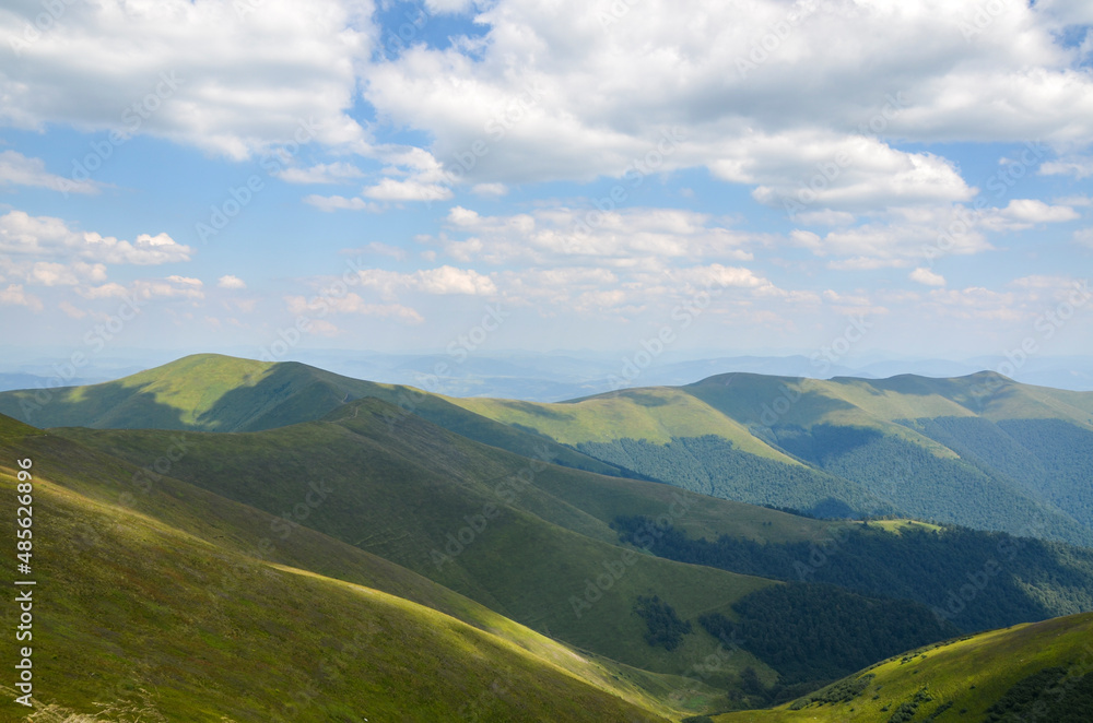 Summer nature landscape with mountain slopes with smooth green grass and forest under blue sky with clouds. Carpathian Mountains, Ukraine