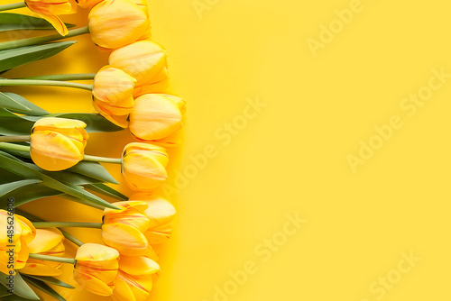 A bouquet of yellow tulips on a yellow background.