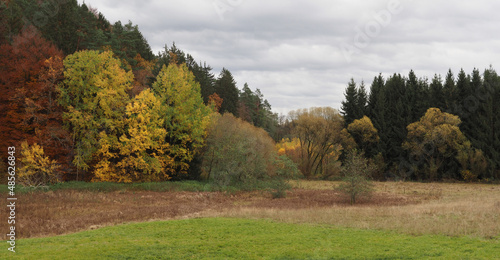 Herbstf  rbung im Rottal bei Finsterrot  Naturpark Schw  bisch-Fr  nkischer Wald