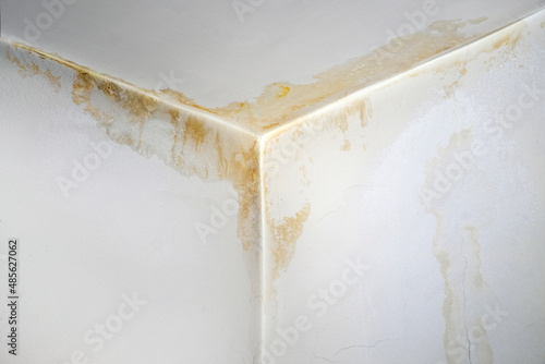 Leak on the ceiling in the apartment close-up. Upstairs neighbors flooded