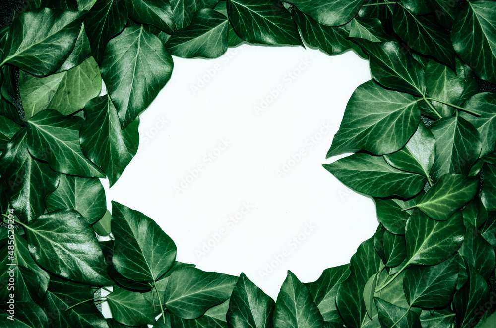 Fototapeta premium Creative layout made of leaves with paper card note. Flat lay. Blank for advertising card or invitation. Nature concept.