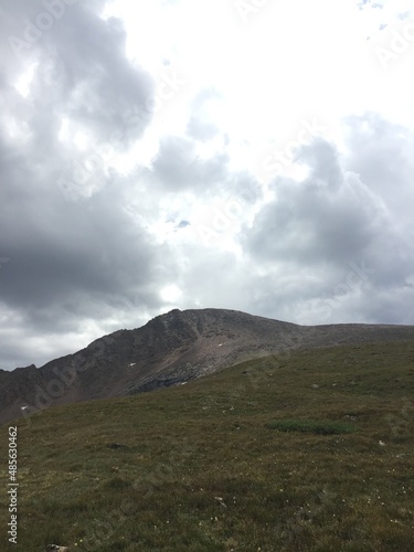 Colorado Mountain Fields and Forests with Green Grass, Flowers and Blue Sky