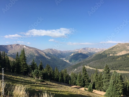 Colorado Mountain Fields and Forests with Green Grass, Flowers and Blue Sky © chris