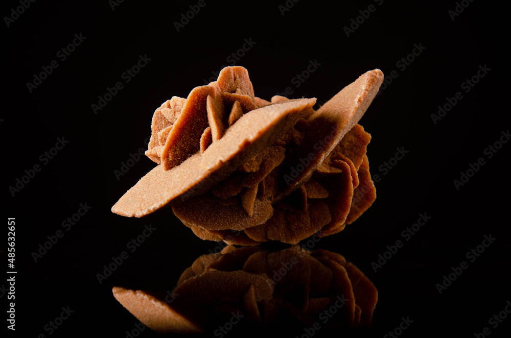 Desert rose on black background. The desert rose is an evaporite ...
