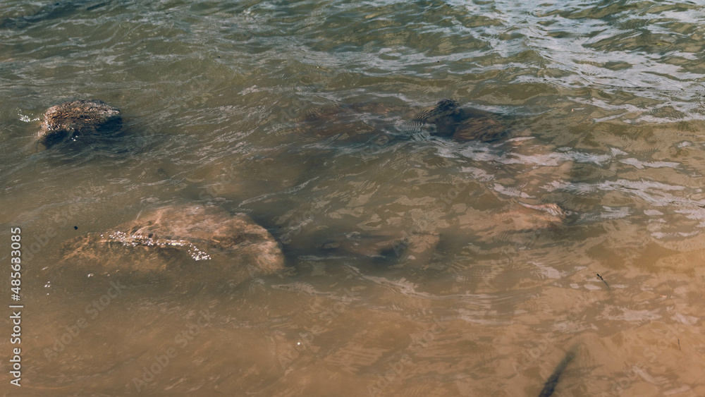 Obraz premium Sunken stones in the lake's waters