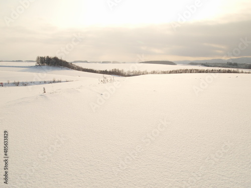 Winter landscape, Snowy field in Biei, Hokkaido, Japan