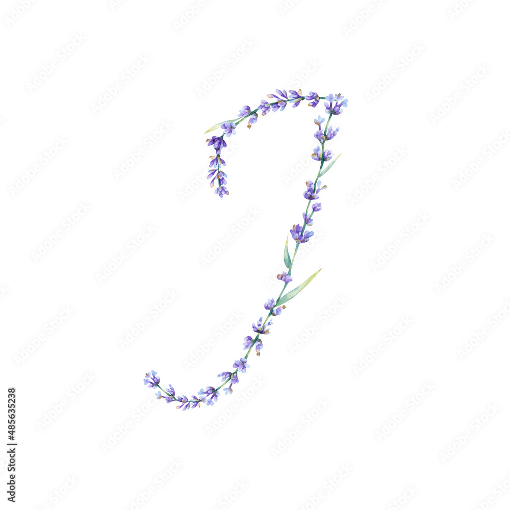 Floral Letter J. Watercolor hand drawn alphabet letter with botanical illustration of lavender flowers, leaves and branch. Initial letter for logo, greeting cards, invitations