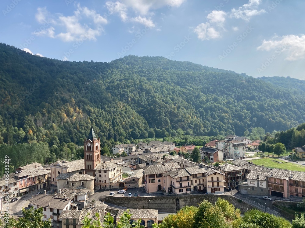 Fototapeta premium melle