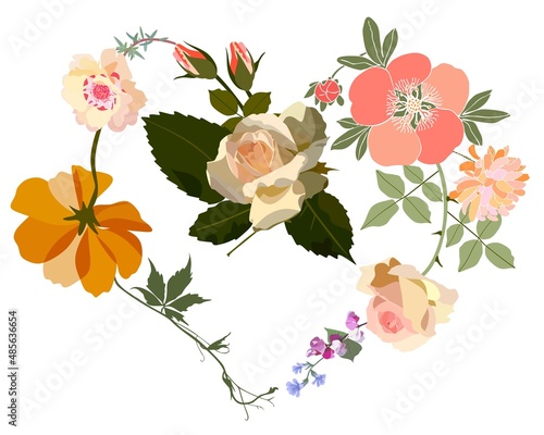 Heart collected from flowers and leaves drawn in different styles isolated on a white background. Vector illustration. Beautiful natural print for dishes, cards, pillows, clothes.
