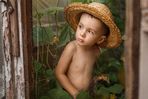 Портрет мальчика, лето в деревне, ферма