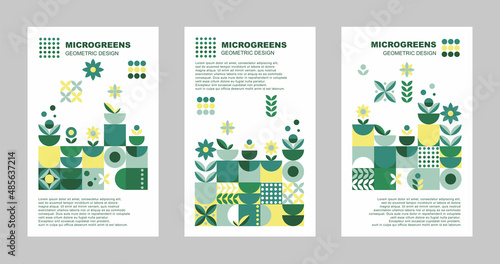 Brochure with microgreen set cards geometry on white background for print design. Vector banner template. Graphic illustration