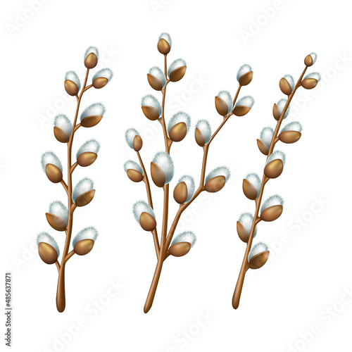 Spring twigs easter blossom pussy willow tree