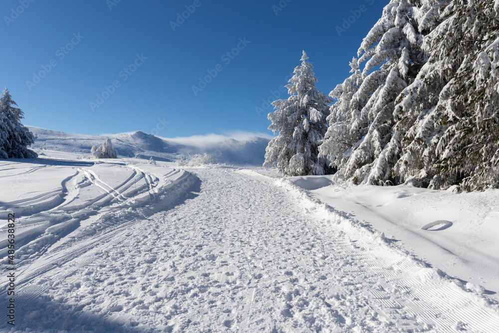 Aerial Winter view of Vitosha Mountain, Bulgaria