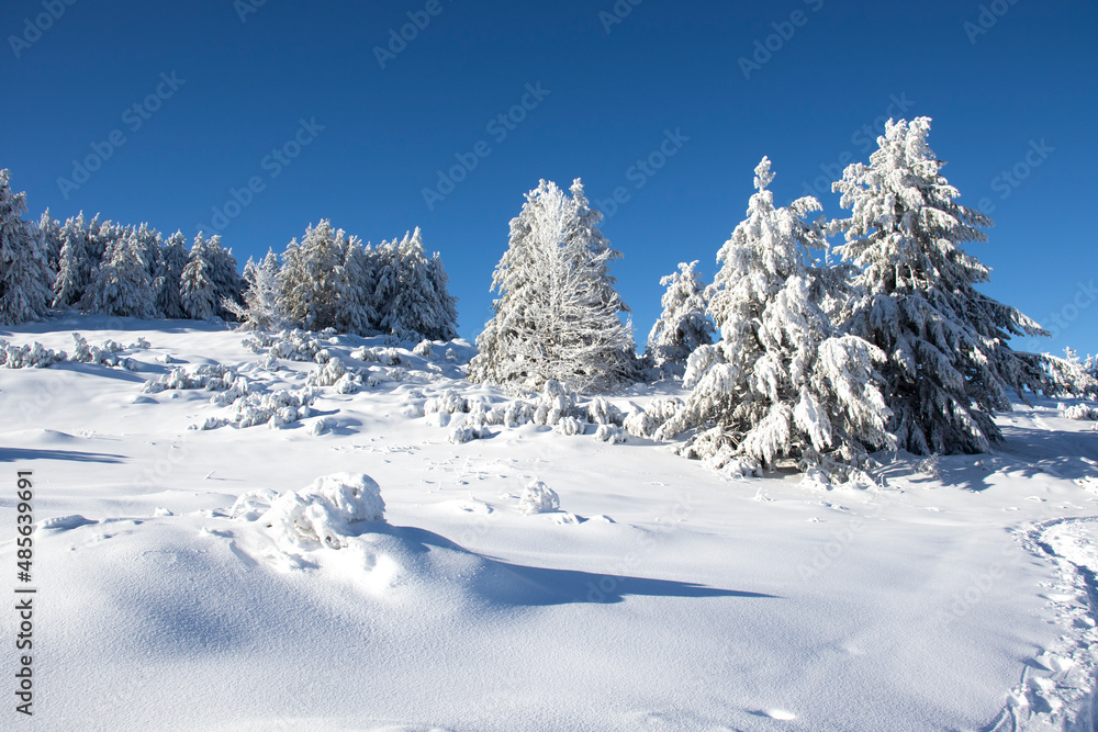 Aerial Winter view of Vitosha Mountain, Bulgaria