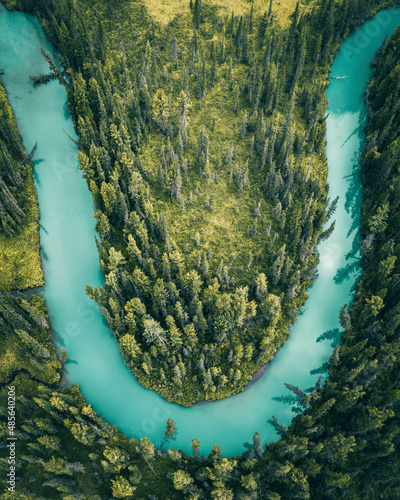 Aerial view of a river crossing the forest near Verkh-Uymonskoe, Altai region, Russia.