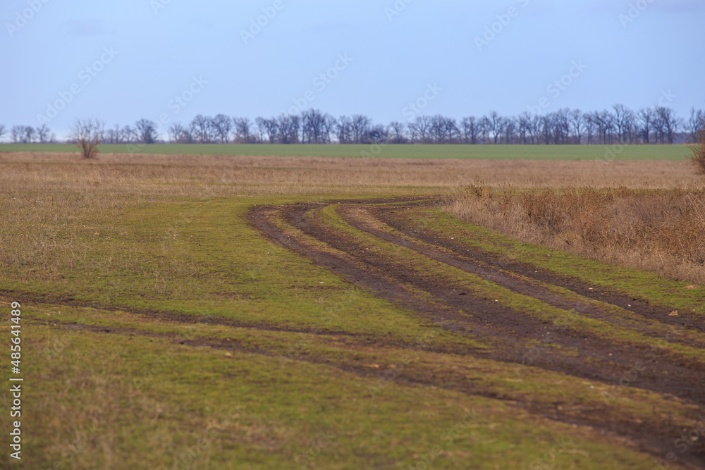 A dirt road near a field in early spring or late fall when the season changes