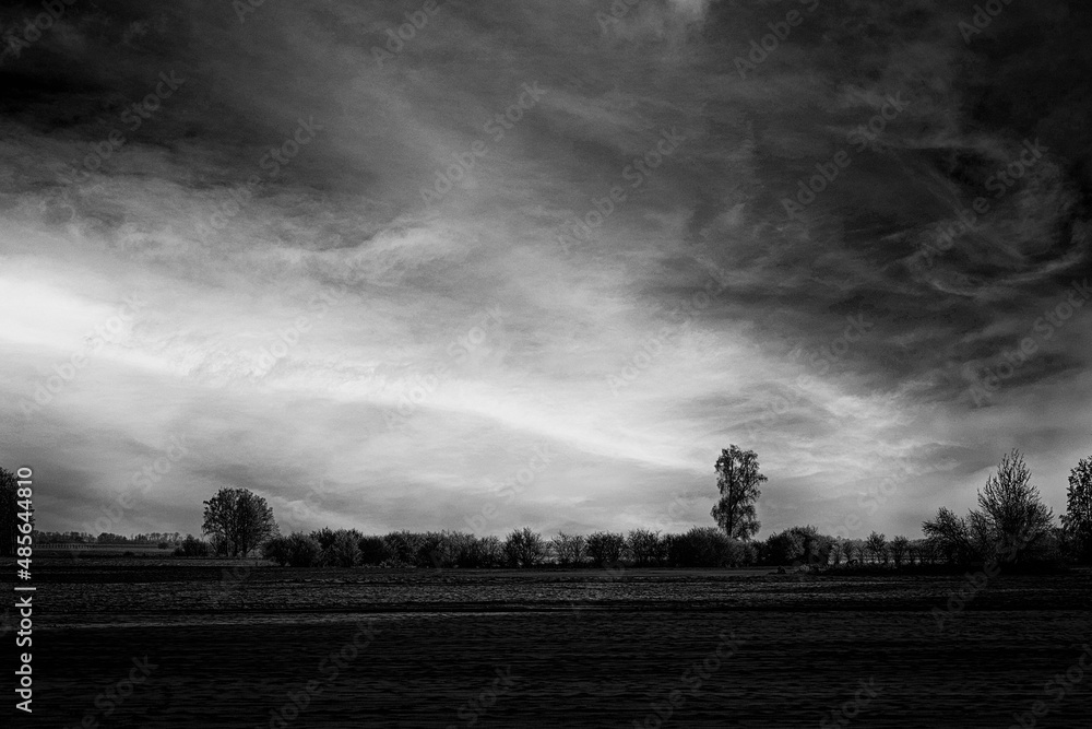 dark landscape in black and white with field, trees in distance and dramatic cloudy sky.